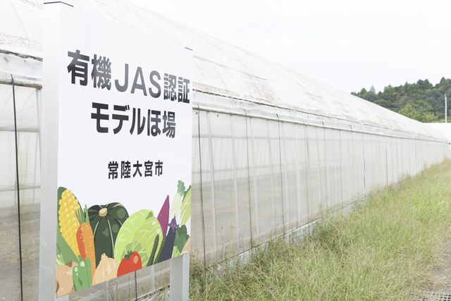 笠間市と常陸大宮市に圃場を構える同社。今回は常陸大宮市の圃場で取材