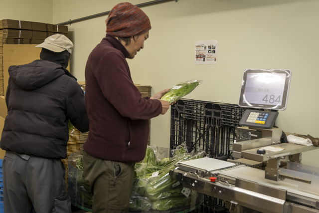 品物を確認する伏田さん