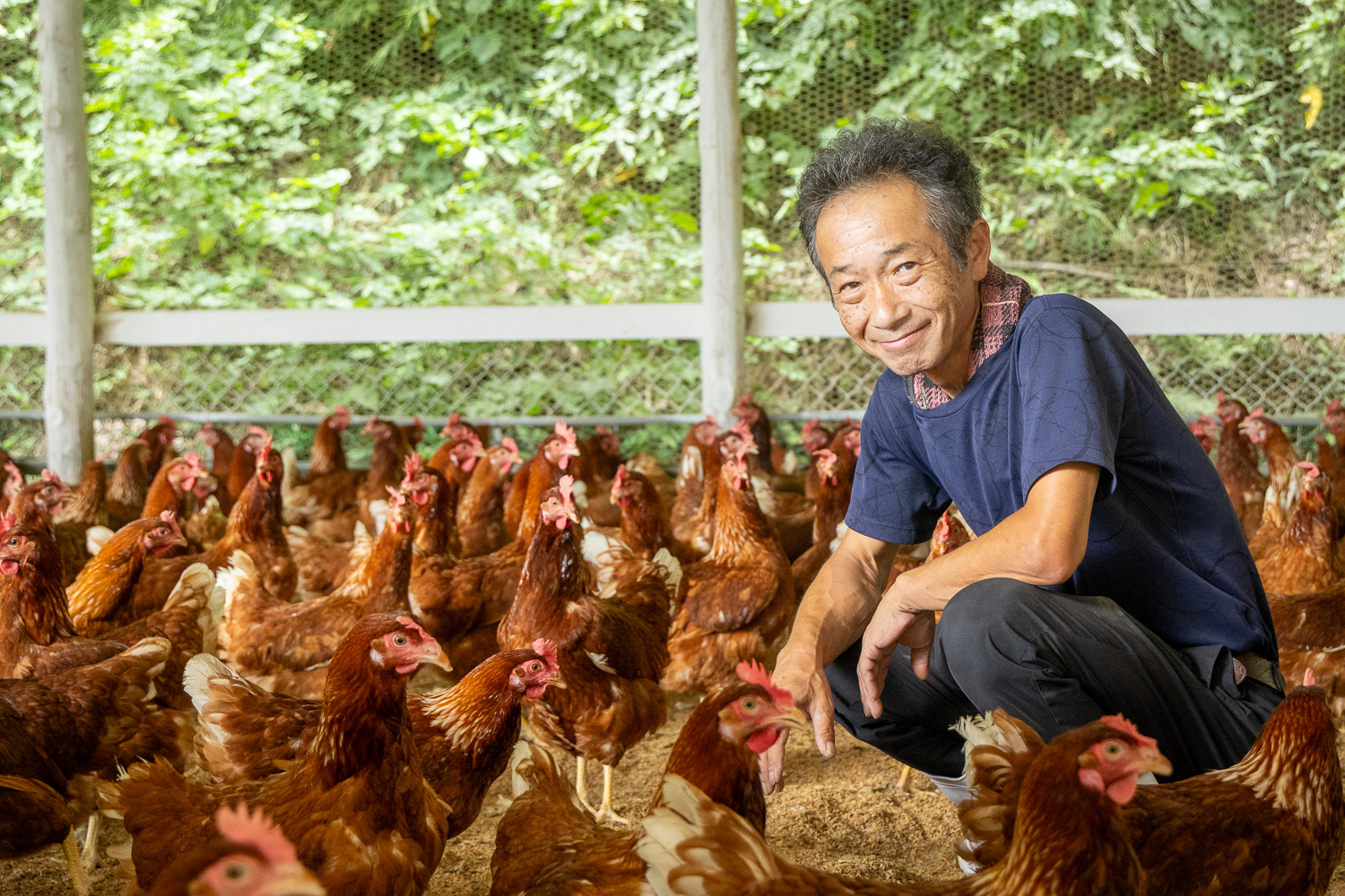 松崎養鶏場 松﨑 泰弘