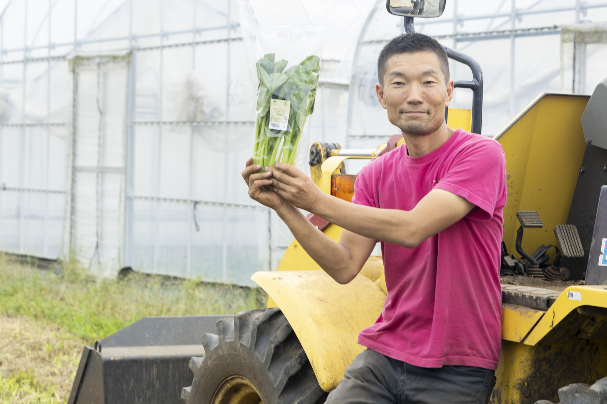 株式会社カモスフィールド 横山 慎一