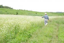 常陸秋そばのそば畑と生産者(常陸太田市)