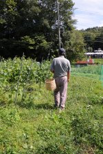 花貫フルーツほおずきと生産者(高萩市)