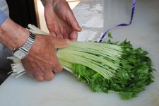 切りみつばの選別・荷造り（つくばみらい市）