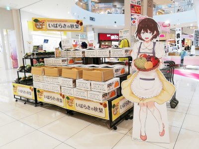 昨年の様子1