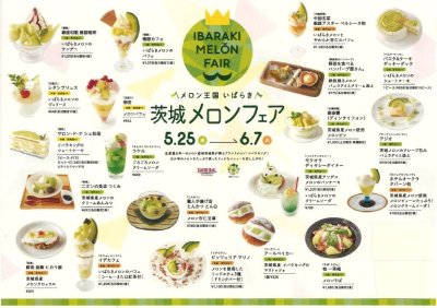 【5/25(水)～6/7(火)】柏髙島屋ステーションモール・柏髙島屋各店で「茨城メロンフェア」開催中！