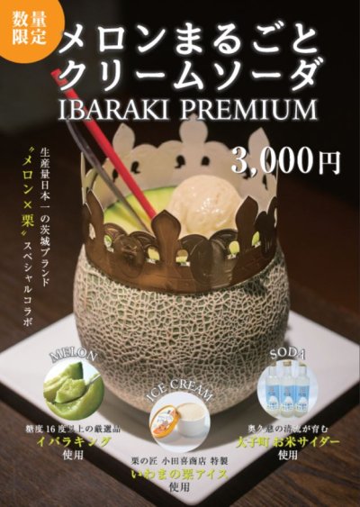 メロンまるごとクリームソーダ ＜IBARAKI PREMIUM＞