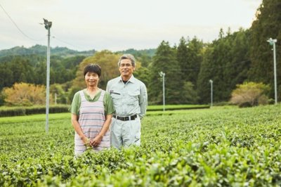 高見園（奥久慈茶生産者）  400年以上前から大子町で生