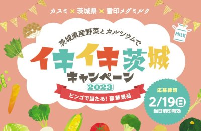 茨城県産野菜とカルシウムでイキイキ茨城キャンペーン2023