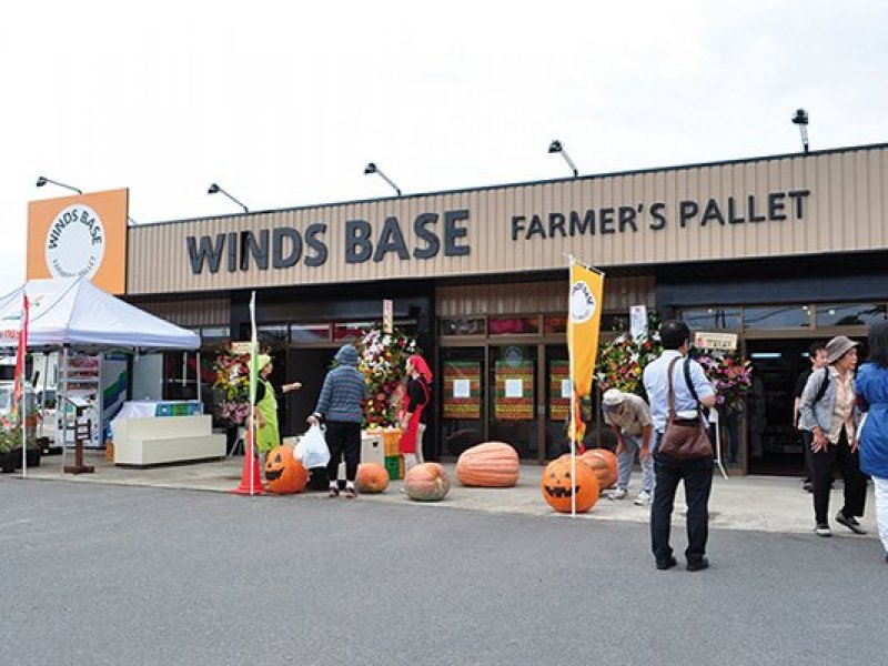 WINDS BASE