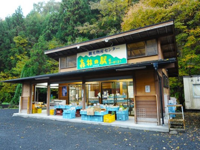 観光物産センター  森林の駅