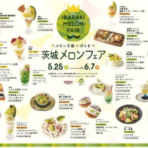 【5/25(水)～6/7(火)】柏髙島屋ステーションモール・柏髙島屋各店で「茨城メロンフェア」開催中！