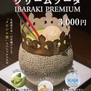 【7/23(土)～7/24(日)数量限定】メロンまるごとクリームソーダ＜IBARAKI PREMIUM＞が夏フェスでデビュー！