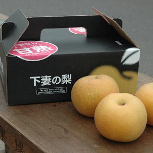 【8/12（土）～】茨城県内のイオンで下妻甘熟梨を販売中！ 