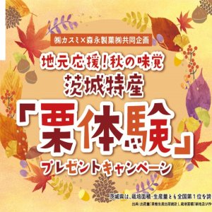 地元応援！秋の味覚　茨城特産「栗体験」プレゼントキャンペーン