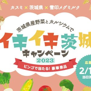 【1月19日(木)~2月19日(日)】カスミ×茨城県×雪印メグミルク「茨城県産野菜とカルシウムでイキイキ茨城キャンペーン2023」実施中！