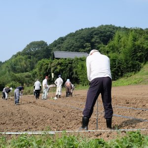 【募集期間　～7/20】常陸秋そばオーナー募集中！ 