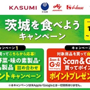 【10/28(土)～11/30(木)】茨城県産食材の消費拡大推進活動 「茨城県の野菜をおいしく食べよう！」 