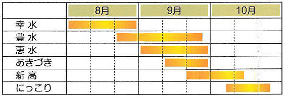 いばらき梨よくある質問　品種の特徴