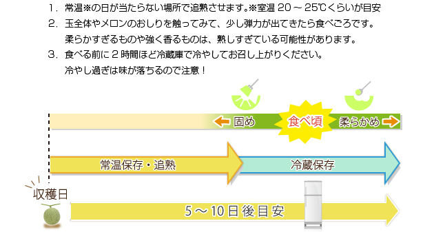 メロンの食べごろ