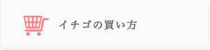 茨城 イチゴよくある質問　イチゴの買い方について