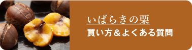 いばらきの栗の買い方＆よくある質問