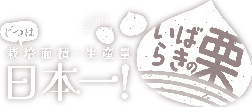 栽培面積･生産量、日本一！いばらきの栗　秋の味覚の代表格