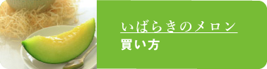 いばらきのメロンの買い方