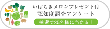 いばらきメロンプレゼント付認知度調査アンケート
