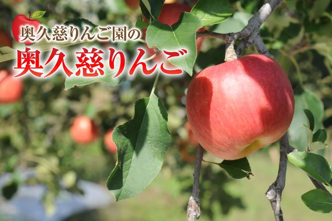 奥久慈りんご園　トップ画像