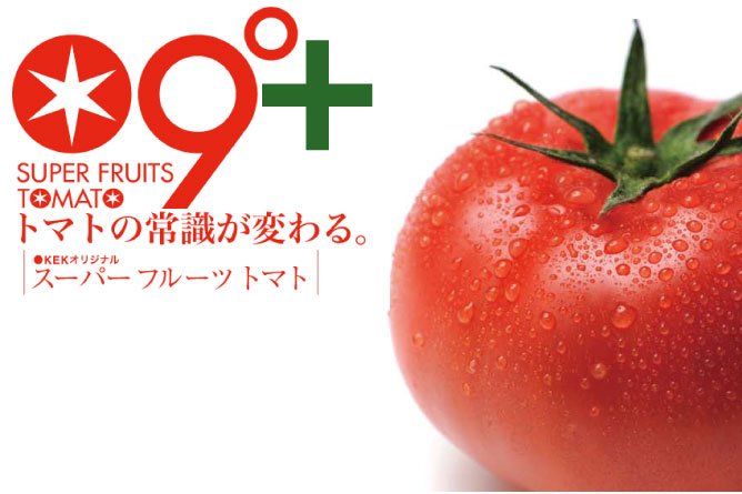 スーパーフルーツトマト　トップ画像