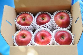 奥久慈りんご園のりんご2kg箱(約6個入り)