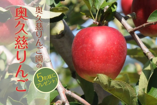 第258回プレゼント　奥久慈りんご園の【りんご】