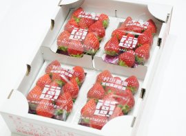 村田農園のイチゴ1箱(4パック入り)