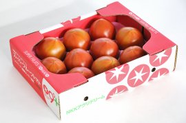スーパーフルーツトマト1kg箱
