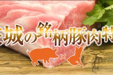 茨城の銘柄豚肉特集
