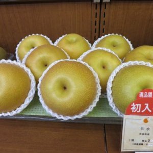 日本橋三越本店における茨城県産ナシの販売について