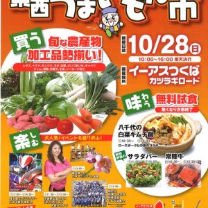 ～茨城を味わおう！～県西うまいもん市が開催されます！10/28（日）