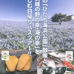 TXつくば駅発着！あの「ひたち海浜公園」と「茨城の野の幸・海の幸」を楽しむ日帰りバスツアー！！