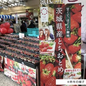 【1/23～JR上野駅】茨城産直市開催！