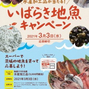 【3月3日(水)応募締切】いばらき地魚キャンペーンを開催中！！