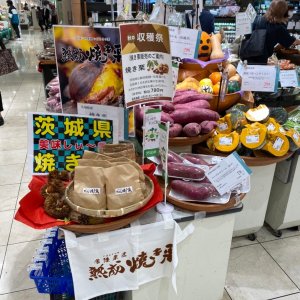 【10月19日(火)まで！】新宿髙島屋生鮮フロアで「秋の収穫祭」開催中！