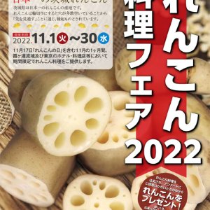 【11/1(火)～11/30(水)】日本一の茨城れんこん　 れんこん料理フェア2022開催！