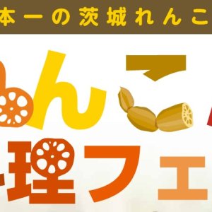 【11/1(水)～11/30(木)】日本一の茨城れんこん　 れんこん料理フェア2023開催！ 