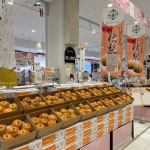 【9/19(木)～23(月)】イオン土浦店で「いばらきスイーツフェスタinイオン土浦」開催！ 